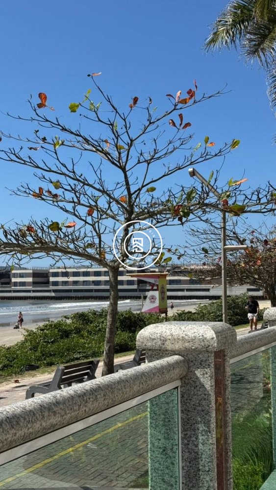 Apartamento luxuoso na Meia Praia